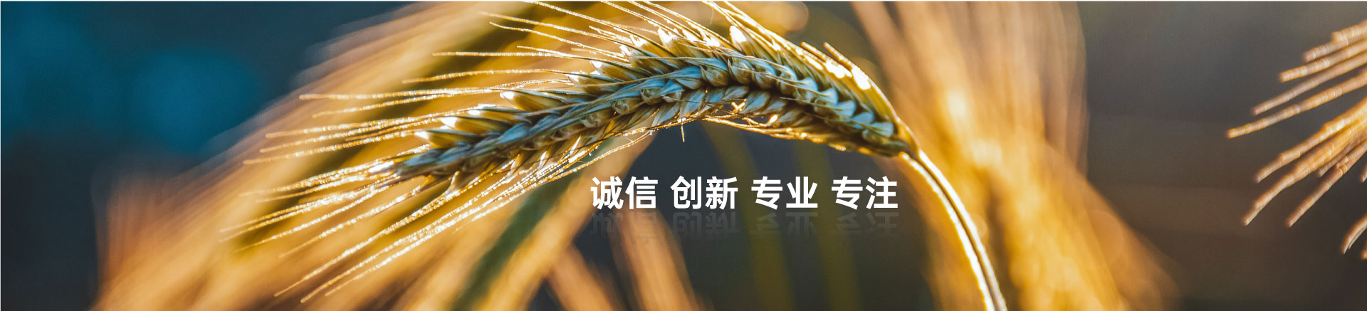 顧客至上，信譽第一